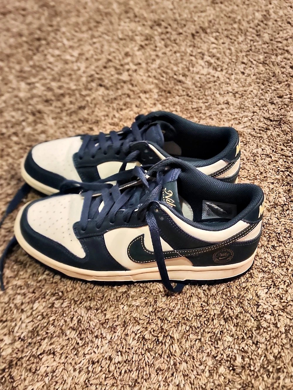 Nike Dunk Low Retro